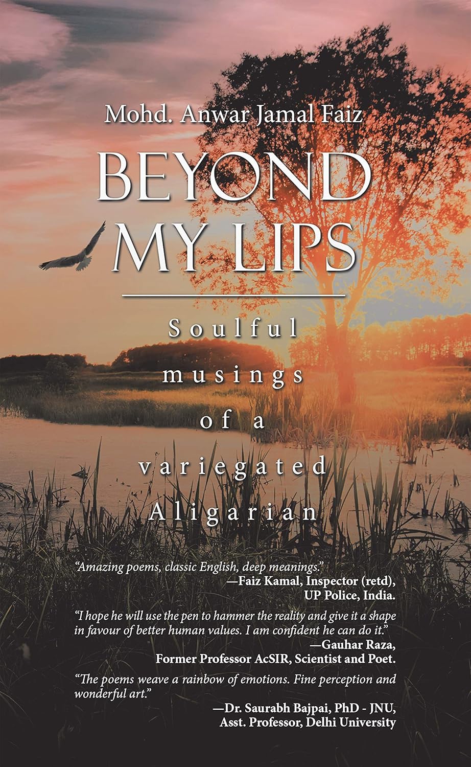 Book 1 Cover